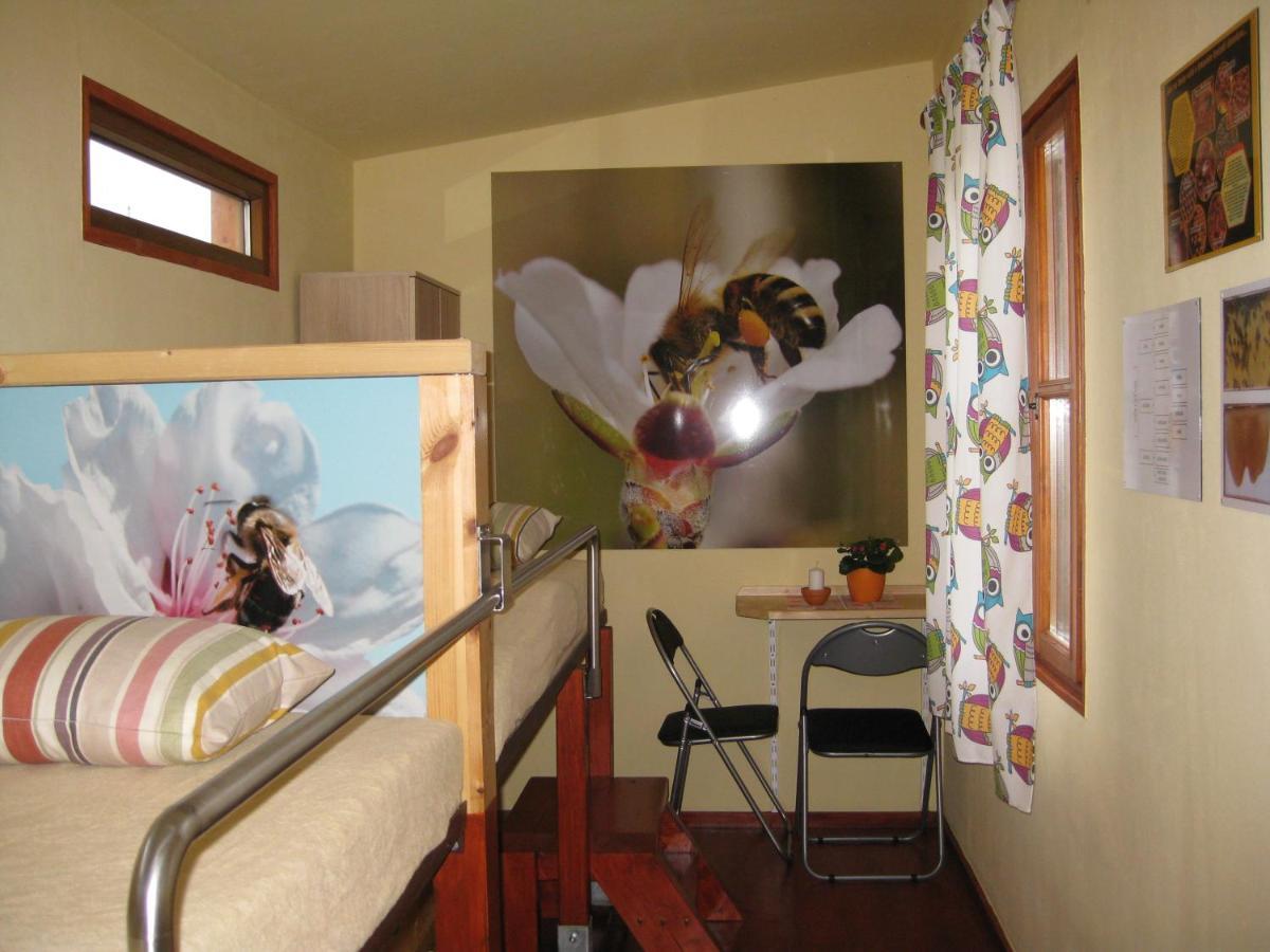 Apartmány včelka Hranice u Novych Hradu Exterior foto